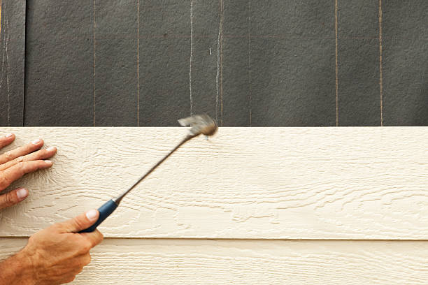 Best Siding Painting and Refinishing  in Colby, WI